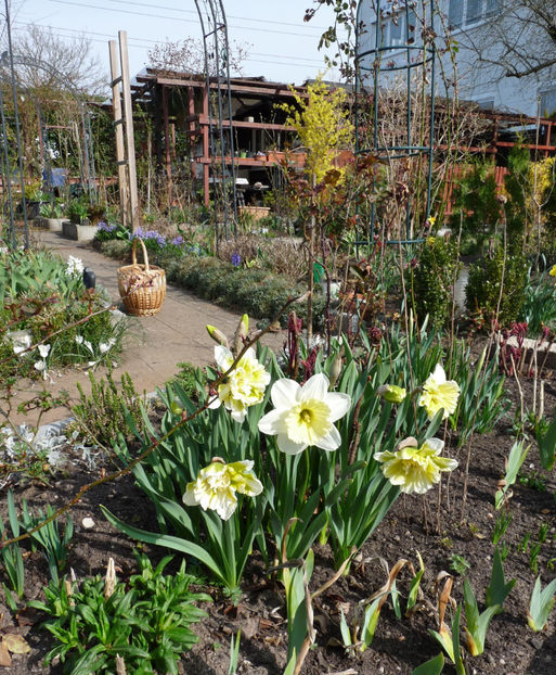  - 2022 - 01 - Primavara