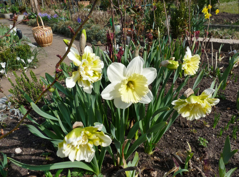  - 2022 - 01 - Primavara