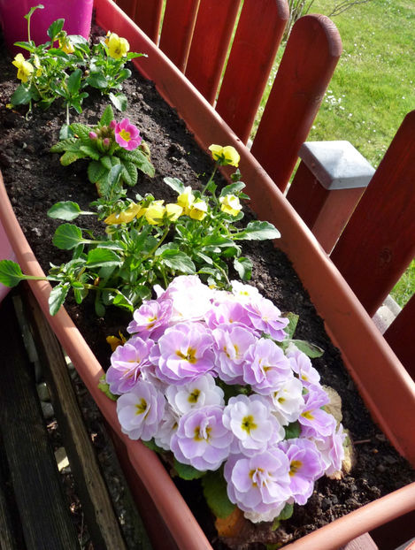  - 2022 - 01 - Primavara