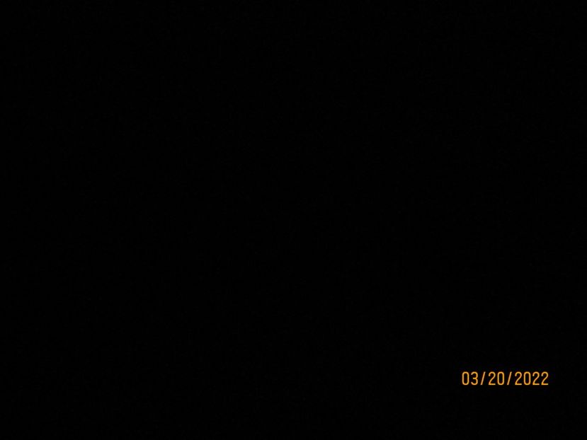  - CUNUNIE 19032022