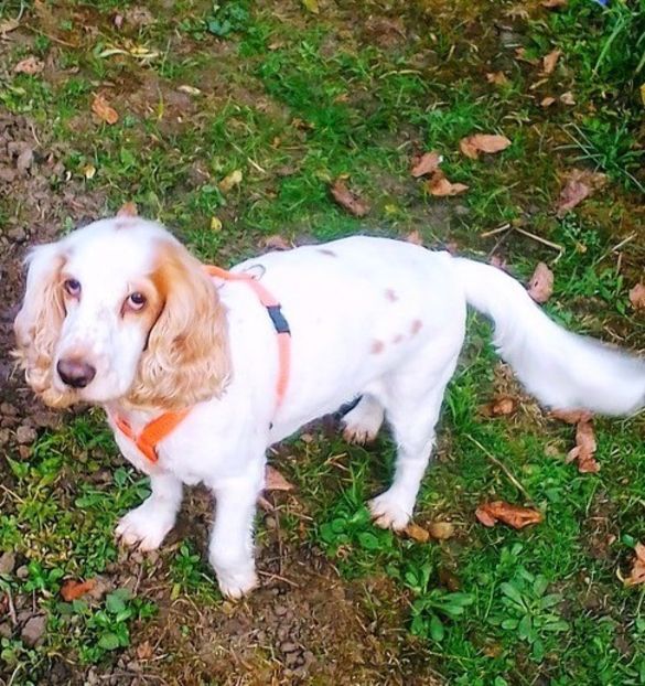 oie_vPAHwSLTsgft - Mimi