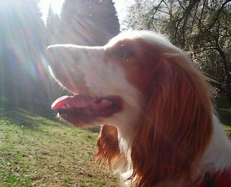 oie_gHQZ3qKvtqQr - Mimi