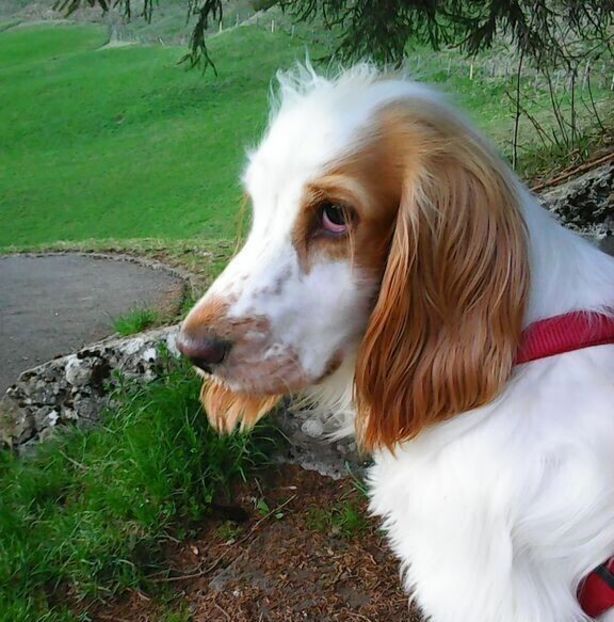 oie_rxr0Ps8dEuPL - Mimi