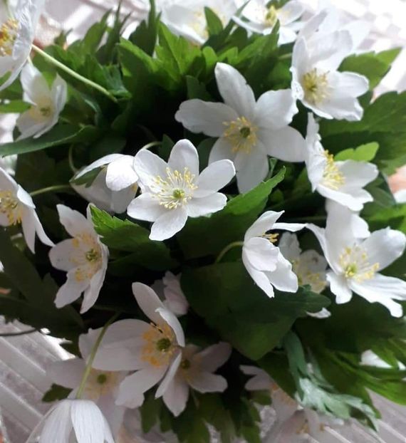  - La țară în aprilie 2022