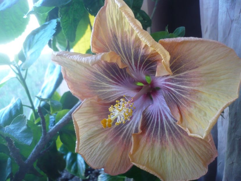 02.04.2022 - RK Daniela