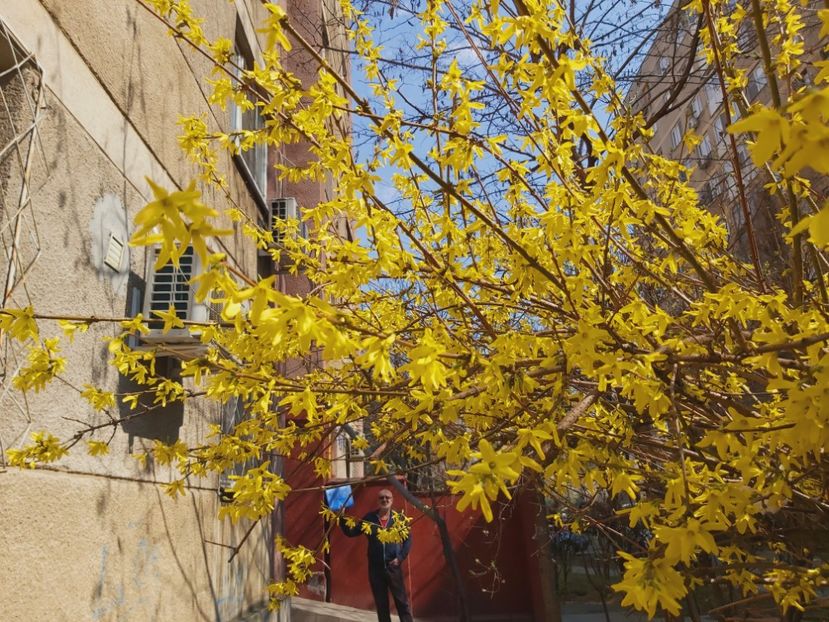  - Floricele diverse 2022