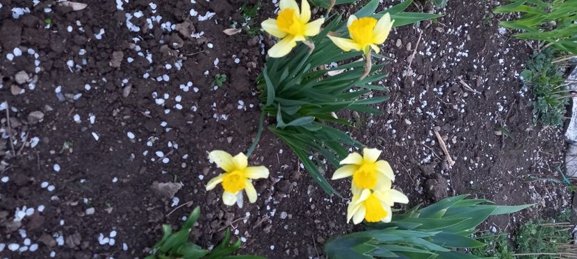  - Sub tutela soarelui