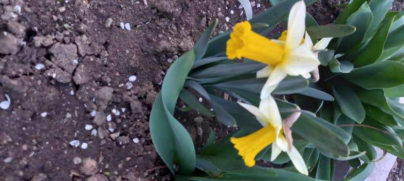  - Sub tutela soarelui