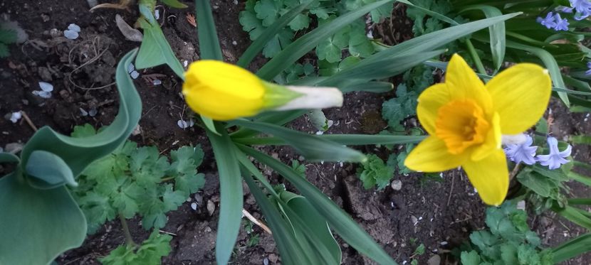  - Sub tutela soarelui