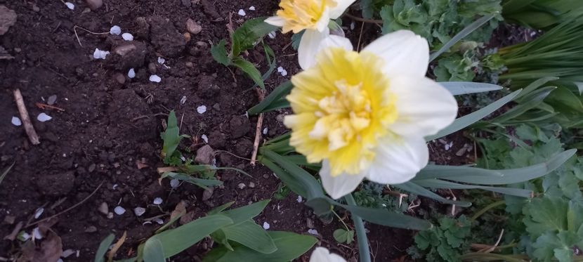  - Sub tutela soarelui