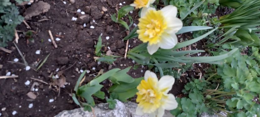  - Sub tutela soarelui