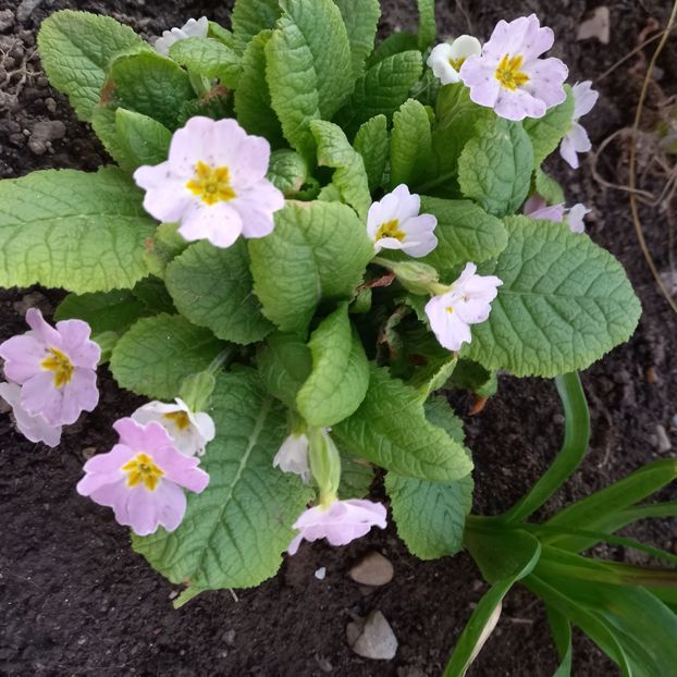  - Sub tutela soarelui