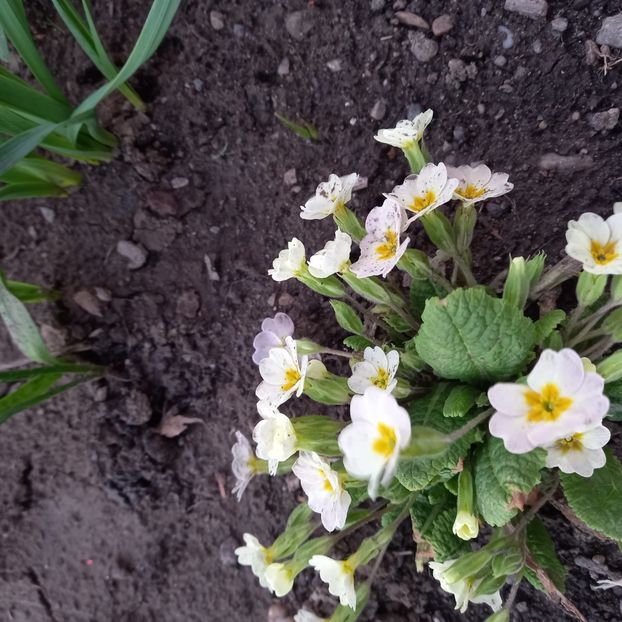  - Sub tutela soarelui