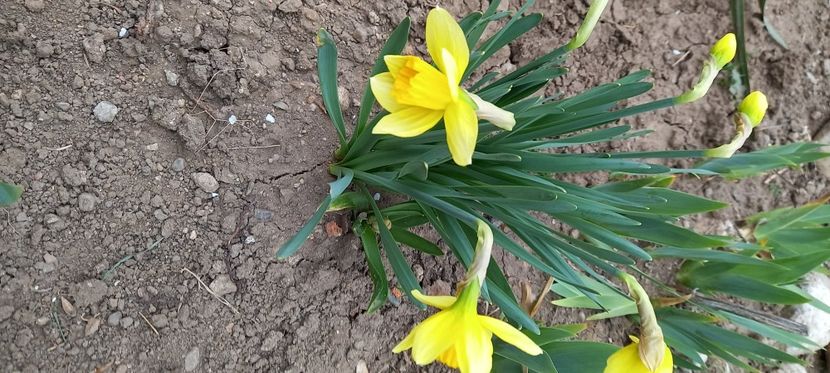  - Sub tutela soarelui