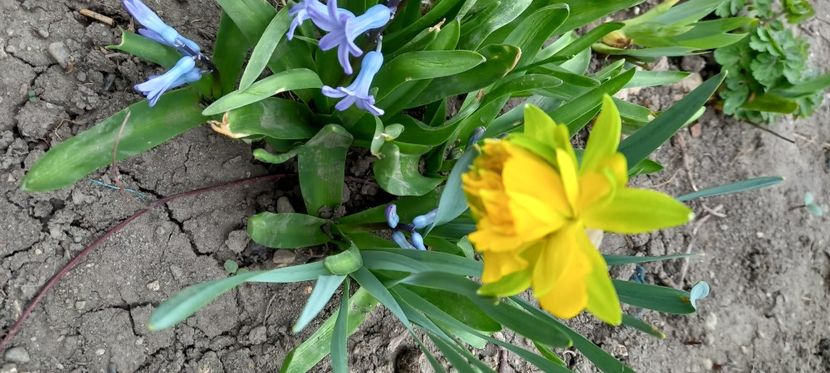  - Sub tutela soarelui