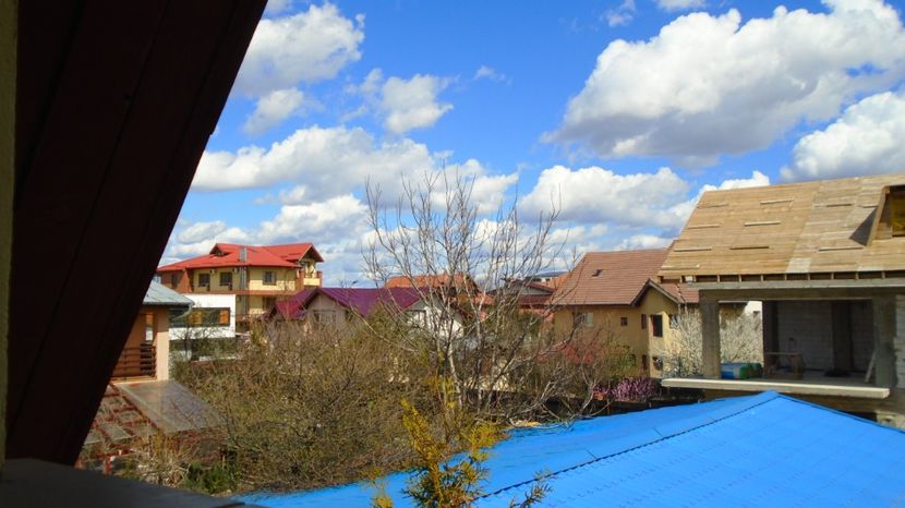 Primavara in cartier - Primavara 2021-2022-2023