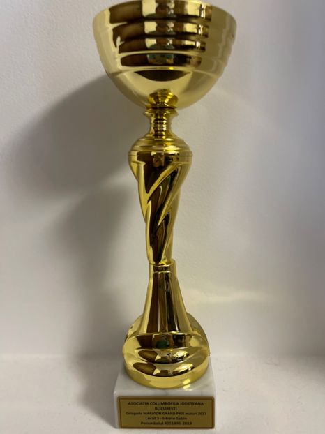 2021 - Loc 3 Județean Maraton extrem - 1 Voiajori sport - Din lotul de zbor