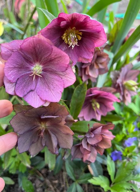 1DEE53CA-394E-4AE7-82CC-6FC4B484408F - Spanz 21 22