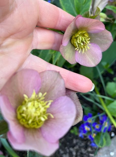 122D4D75-B610-4CC7-ADFD-39CB395D1426 - Spanz 21 22