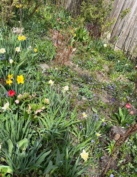 A223052B-871B-4C20-9C68-93DCD7925B62 - Martie 2021 aprilie 22