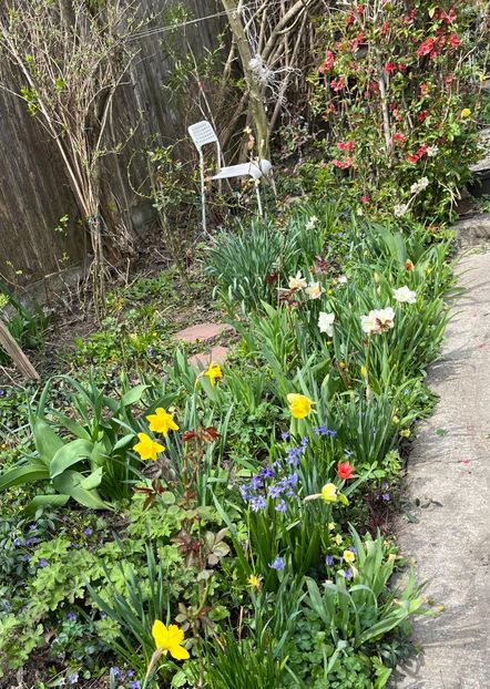 F183B477-7436-4933-A329-F82546D39C75 - Martie 2021 aprilie 22