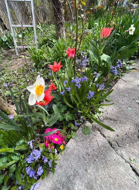 069F2BC4-1F1B-4AC1-AE91-62F1C4701360 - Martie 2021 aprilie 22