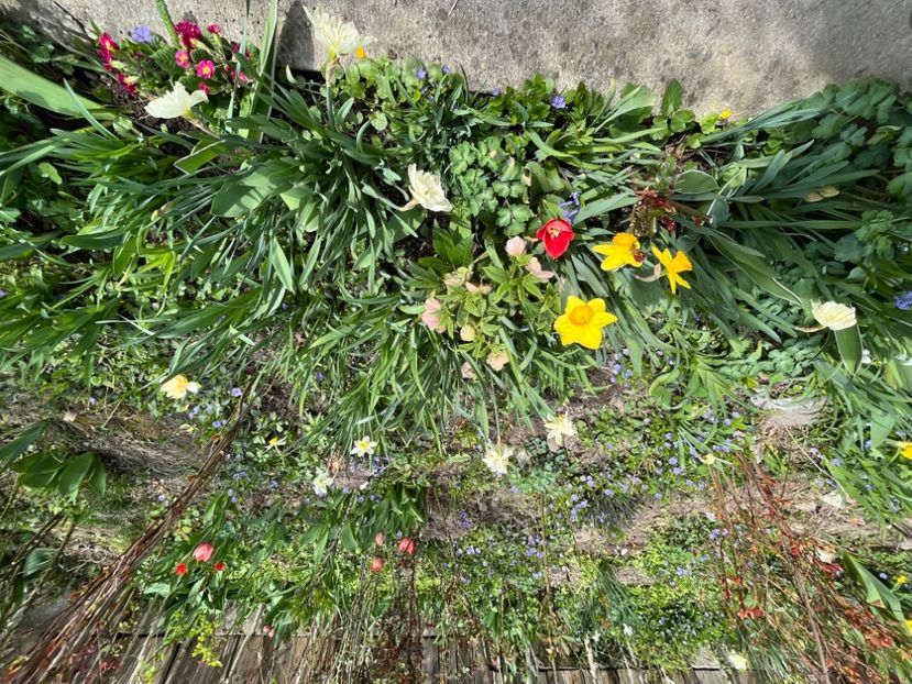 CF0C8A49-DE2C-440E-A2BC-F71AE21405C5 - Martie 2021 aprilie 22