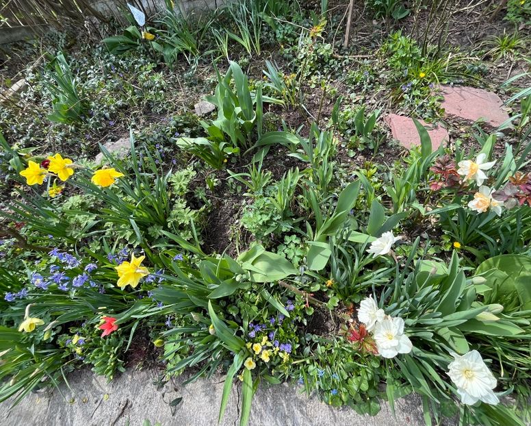 23E1C08A-B7C5-445A-9B02-40A575127427 - Martie 2021 aprilie 22