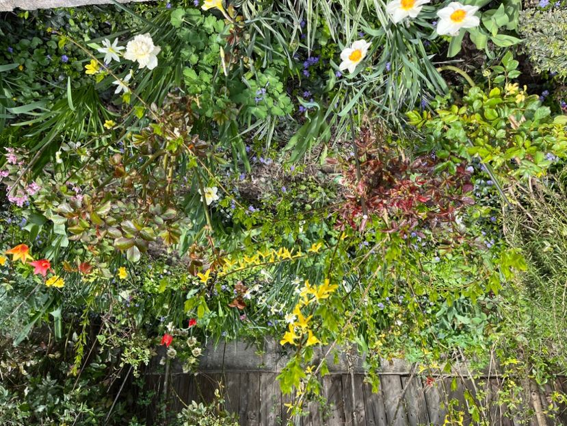 4F865504-465D-43B0-AC25-67CC07974D27 - Martie 2021 aprilie 22