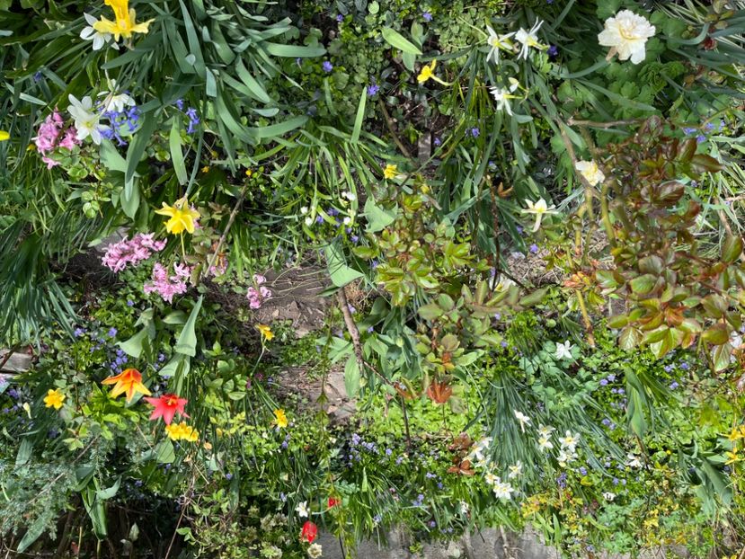 7CB3D62F-0443-4312-A640-289E8487CD66 - Martie 2021 aprilie 22