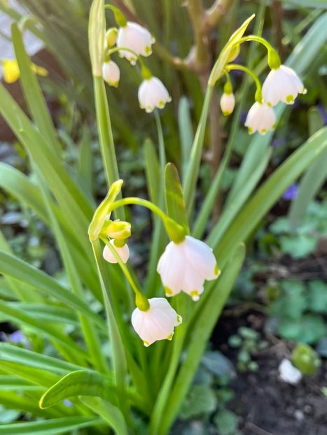 0834F84B-37F4-458A-ADBC-18A20AC7D995 - Martie 2021 aprilie 22