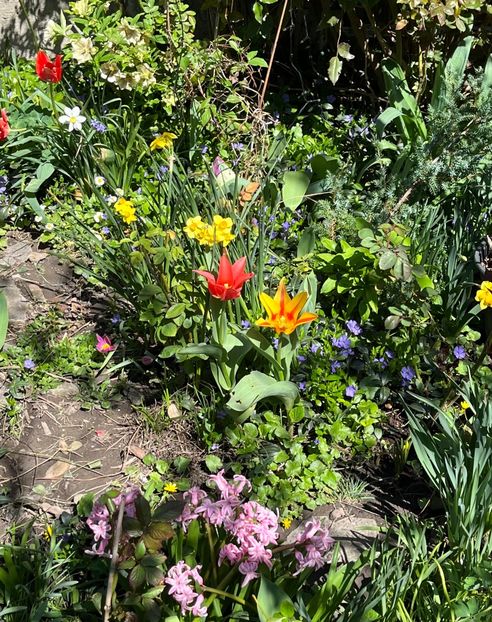 5D1EF04F-E158-4381-8AF7-C2EC349B9A3F - Martie 2021 aprilie 22