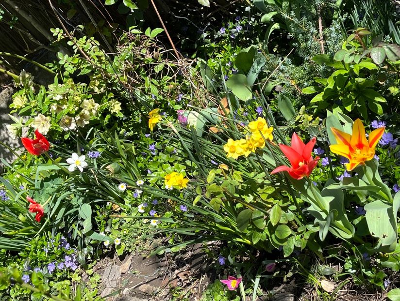 30773B0A-D1B9-43E0-A0FB-83336BCF1B20 - Martie 2021 aprilie 22