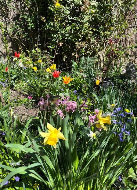 E03DE386-DD29-4634-BEB6-C16D2103A046 - Martie 2021 aprilie 22