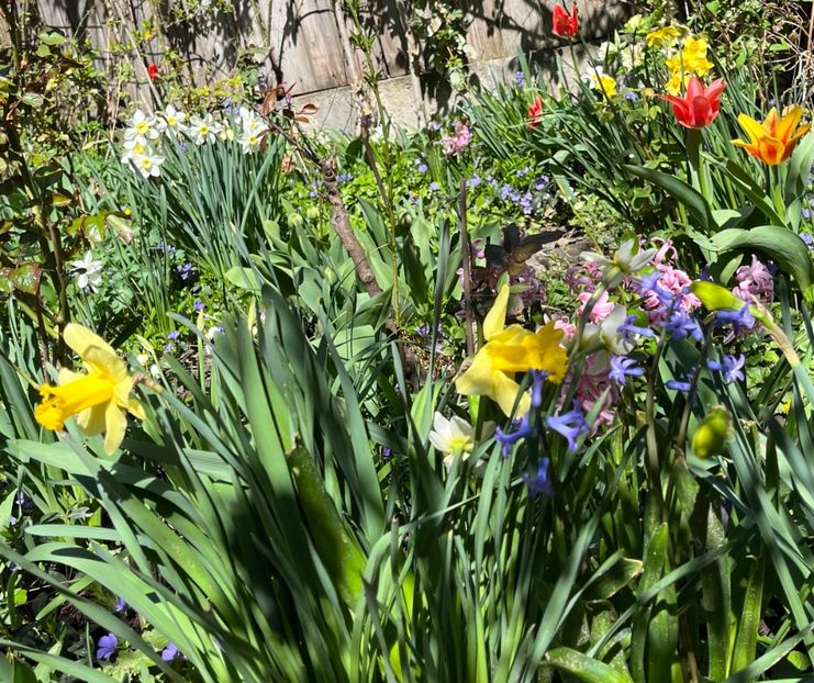 F360A6A1-3A31-4DAF-BE72-5718261B46FB - Martie 2021 aprilie 22