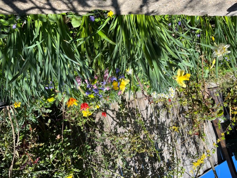 C0E5B416-05C1-4C78-B8E3-99F9869C269D - Martie 2021 aprilie 22