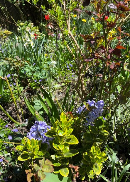 EAF6CD35-7BAA-44BE-AA00-DC7721A1BD94 - Martie 2021 aprilie 22