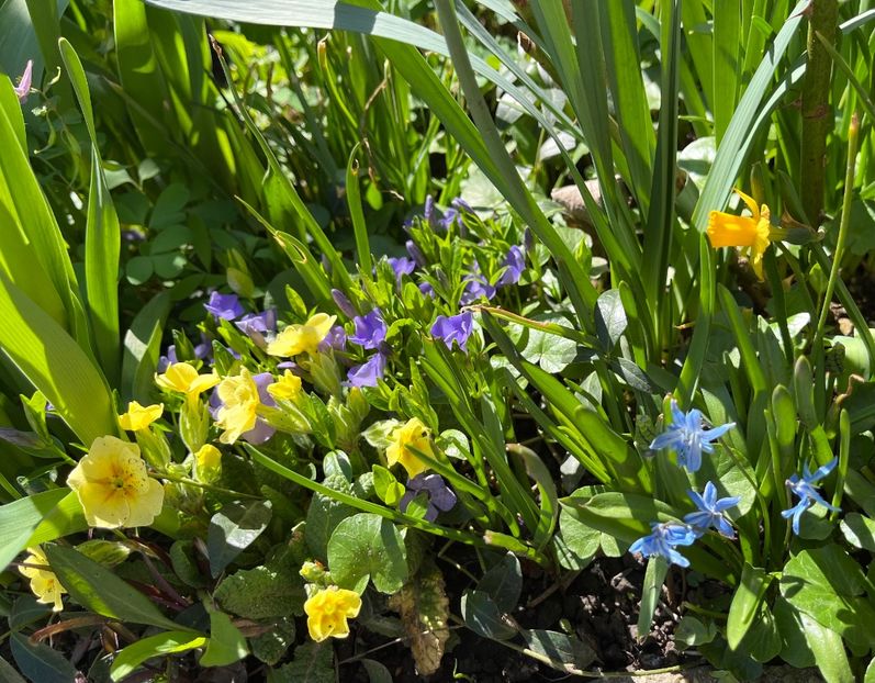 7ED55A31-A1A4-4FA6-AD48-7E099FF5D5B9 - Martie 2021 aprilie 22