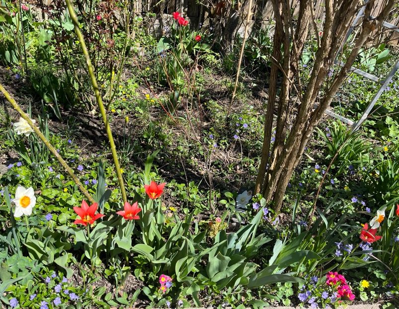 AA90A69F-C089-4475-AEBA-E12C62D5EA56 - Martie 2021 aprilie 22