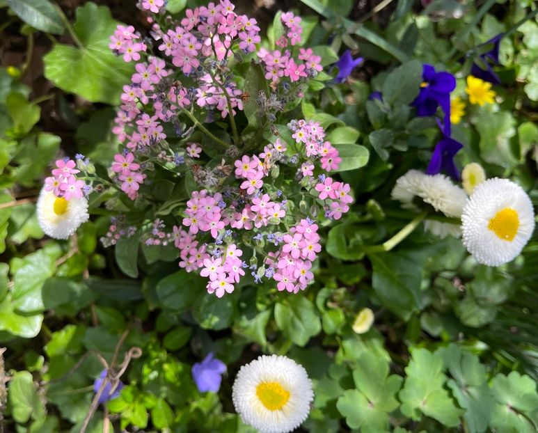 A7BFDB1E-4DC3-4168-8296-03B0505A4B57 - Martie 2021 aprilie 22