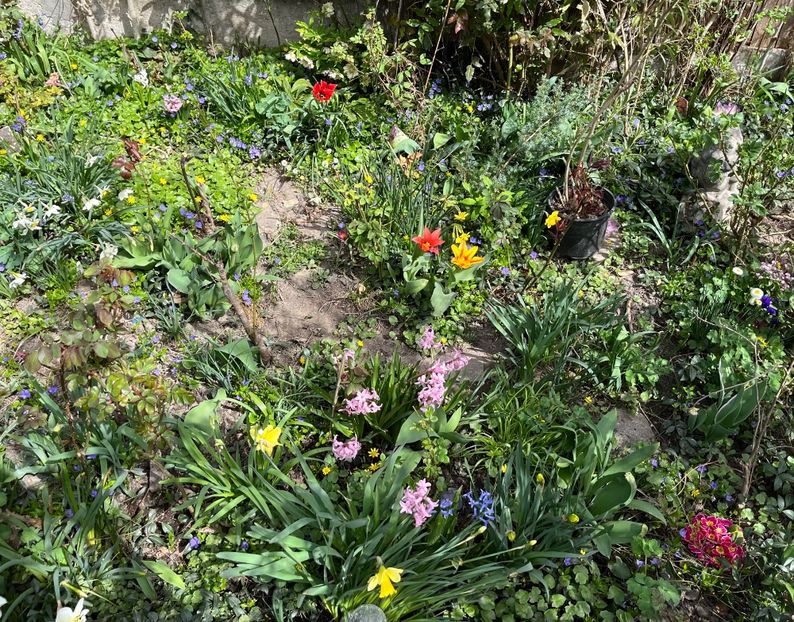 98660D6A-4486-4B6B-B8BD-E0D43916EAE4 - Martie 2021 aprilie 22