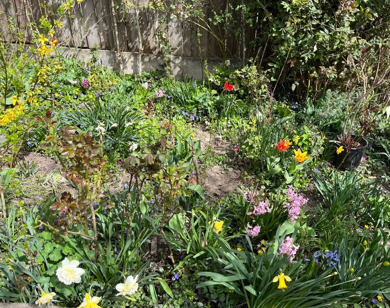 6B578F5F-15D4-470C-BAC4-1405DBCB7536 - Martie 2021 aprilie 22