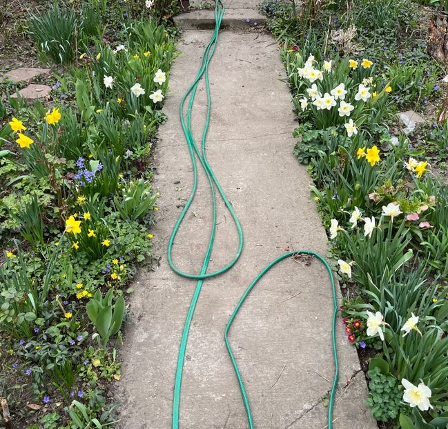 D84BBBCC-7D90-43D0-80E5-C9AC585C9282 - Martie 2021 aprilie 22