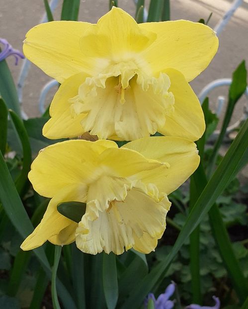 20220405_081509(0) - APRILIE