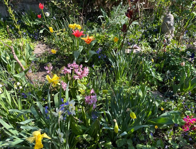 983FB68A-9FAD-4BFA-8884-737DD40B2F8C - Narcise 2021 2022