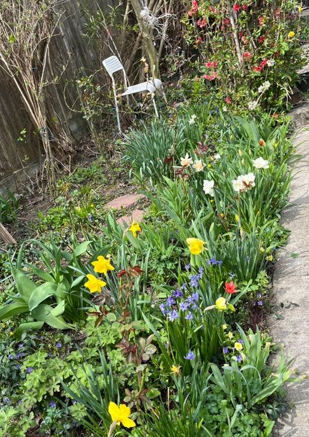 F5747857-5F91-432C-9507-1E0F364D6E46 - Narcise 2021 2022