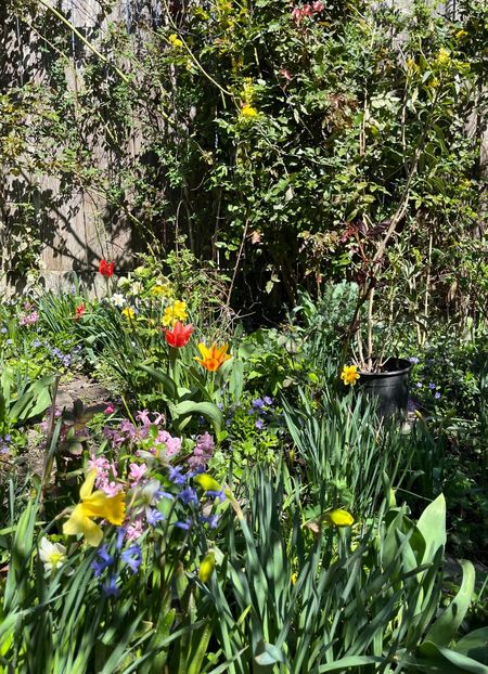 4F1E5FB6-714F-4BD1-BCAD-43F641526331 - Narcise 2021 2022