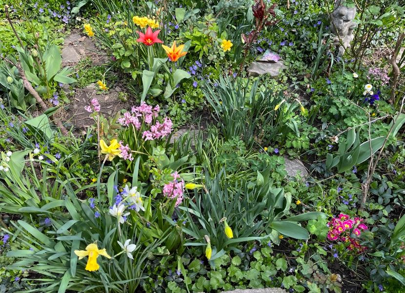 81182513-F115-42CA-B39A-B40C8E8DCB48 - Martie 2021 aprilie 22