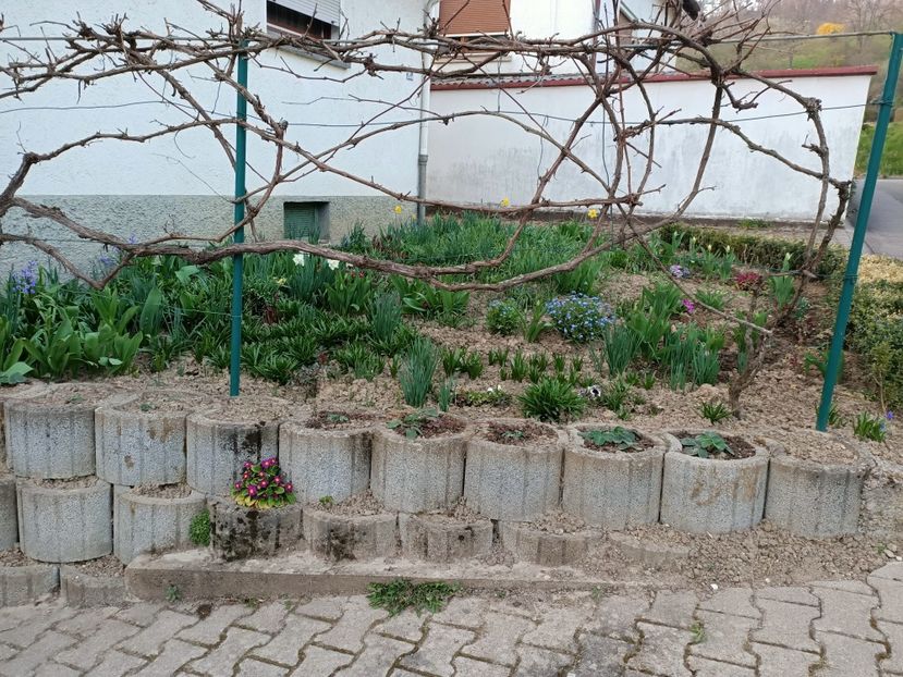 Img.2022.03.25 - A doua grădină