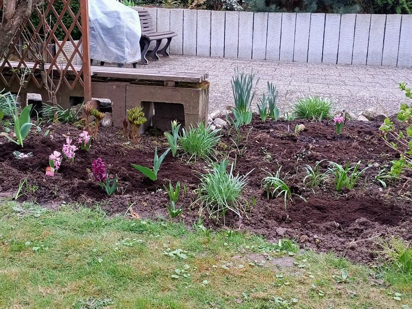 Img.2022.04.06 - Grădina mea